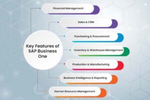 sap-business-one-features